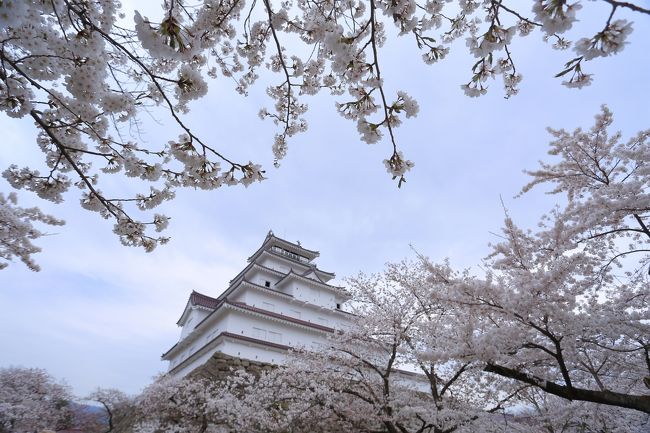 福島・宮城の桜旅　3<br /><br />7・8・9日目<br /><br />今年の桜旅最終<br /><br />今年はタイミングが良く休みが取れ、<br /><br />桜の咲くタイミングもばっちりでした。<br /><br />とても綺麗な桜を見て廻る事が出来ました。<br /><br />