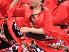 日立11　日立さくらまつり　よさこい！フィナーレは総踊りで　☆紅色の活力.舞って弾んで