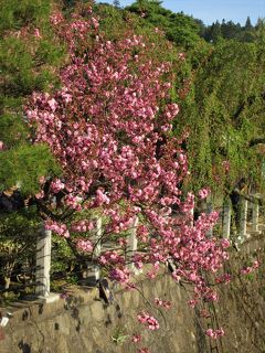 ２０１８年４月　１日目　飛騨高山の散策と平湯温泉に宿泊しました。