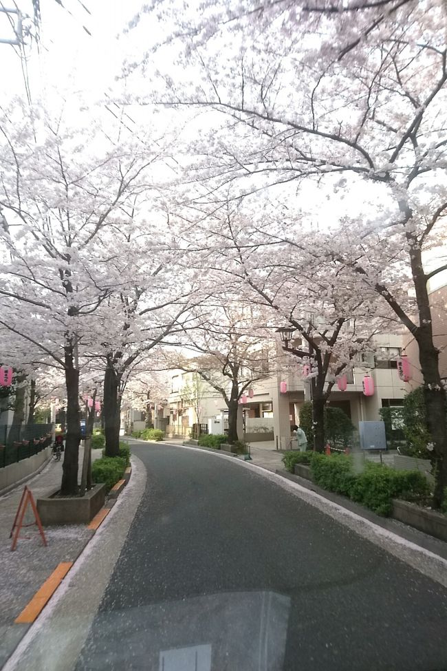 4月から職場が東京に移るので3月末に引っ越しをしました。金欠なので、友人に頼んで車を出してもらい、業者に頼らず自分たちで頑張りました。<br />1日がかりでの旅行の様子。<br />長い記事ですがよろしくお願いいたします。