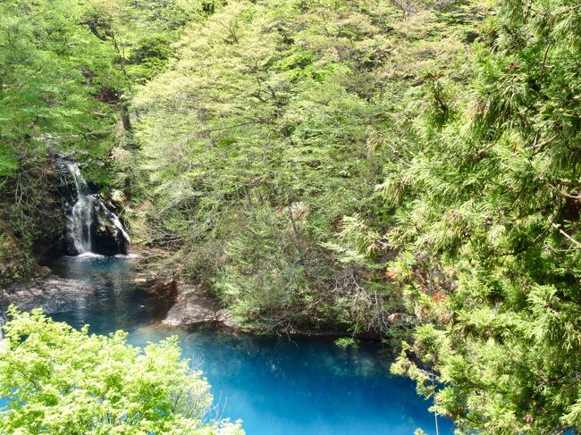 川場で「リンゴの花を見に行こうと!」と決心したのは数日前<br /><br />今日は<br />中之条をお散歩♪♪<br /><br />リンゴの花 満開です(^ω^)<br /><br />四万温泉で「マスター」と呼ぶにふさわしい「マスター」に出会い<br /><br />美しき良き日になりました(^ー^)<br /><br />