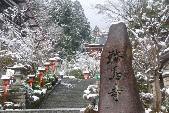 牛若丸（源義経）が修行をしたとされ、鞍馬天狗が住むという鞍馬山<br />延暦15年（796）鑑真の高弟・鑑禎上人によって開山されたと言われている。<br />旅の2日目、初めてこの地を訪れることにしました。<br />