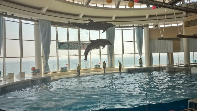 驚きの茨城県 大洗観光と百里基地 (6-2) イルカが跳びまくり！アクアワールド大洗水族館