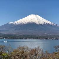 相棒犬ハッチと富士山三昧の旅！