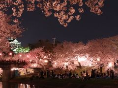 愛知県　佐奈川の桜と岡崎の夜桜