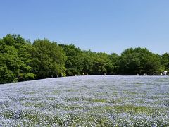 春の森林公園