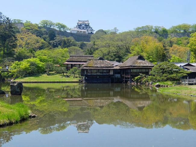 京都からＪＲ琵琶湖線新快速で約50分の彦根へ行き、彦根城天守と玄宮（げんきゅう）楽々園を訪れました。<br />