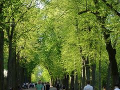 ペピニエール公園を散歩して，スタニスラス広場で食事。ナンシーの第一日目。