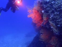 シチリアでダイビング（San Vito lo Capo)