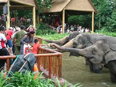 動物園とＵＳＳだけのシンガポール旅　その１はシンガポール動物園