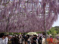 宇都宮の旅行記