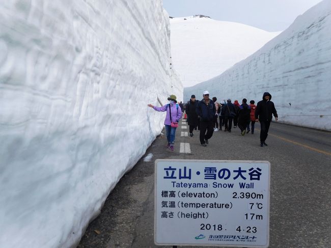 ２０１８年４月　２日目　その３　室堂　雪の大谷ウォークで高さ１７ｍの雪の壁を見る。バスターミナルの展望台へ