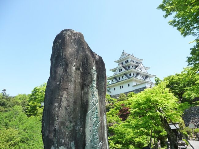 郡上八幡城 戸隠神社へ日帰りドライブに行って参りました。<br />実は46年前、(大昔ですが..)学生の時に郡上八幡城の下のお寺で<br />合宿をしまして、郡上八幡城まで暗闇の中を(その当時、<br />道もお城も本当に何の灯りもなく、1メートル先も見えない<br />状態で完全な漆黒の闇でした。)みんなで順番に肝試しをした<br />思い出があり、終活のひとつとして、<br />一度は再訪してみたかったからなのです。<br />
