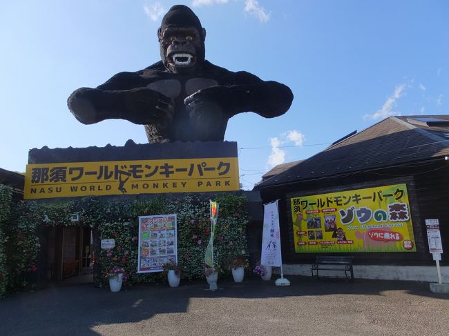 8月のハワイ旅行と年末年始の旅行の中間あたりで、どこか温泉に行ってみようって事で検討。<br />息子の会社が保養施設として契約しているホテルが運良く予約できたので、じゃあって事で決定。<br />以前にも泊まった事がある那須御用邸の隣に位置するホテルに宿泊。