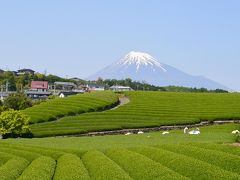 富士滞在　４～５月