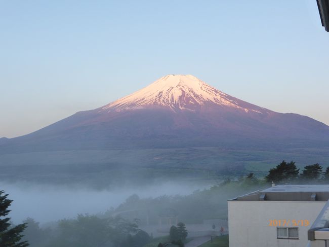 昨日見えなかった富士山。<br />予想通り、朝から快晴で会心の富士山を見ることができて、とてもラッキーでした。<br />その後に回った、本栖湖の芝桜から眺める富士山もなかなかのもの。<br />富士山を堪能しました。たくさんの写真を入れています。ほとんど全部、富士山です。