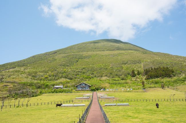 ANAマイルの有効期限が切れそうだったので、八丈島に行ってみました。<br />一人分のマイルしかなかったので、末っ子の2歳児を連れて二人で母子旅行です。<br />八丈島は土日の良い時間帯でもマイルで席が取りやすいし何より近いので、土日の弾丸旅行にピッタリ！<br /><br />八丈島は雨の多い地域だそうですが、幸い二日間ともお天気に恵まれました！<br />せっかく天気が良いので…と欲張って、たくさん回りました。<br />移動は全てレンタカーです。<br /><br />八丈島は美しい島でした。<br />観光客も少なく、絶景ポイントがたくさんあります。<br />癒されました。<br /><br />◇2018/4/21(土)◇<br />7:30 羽田空港発のANAで8:25 八丈島空港着の飛行機<br />↓<br />南原千畳敷<br />↓<br />八丈富士登山～2歳児を抱っこして～<br />↓<br />ふれあい牧場<br />↓<br />銀八すしで島寿司ランチ<br />↓<br />民芸あきでお土産<br />↓<br />グリーンポストで絶景眺めてカフェタイム<br />↓<br />南原千畳敷で夕日を眺める<br />↓<br />八丈ストアで夜食の調達<br />↓<br />南原千畳敷で星を観る<br /><br />◇2018/4/22(日)◇<br />底土ビーチで朝日を見る<br />↓<br />えこ・あぐりまーと<br />↓<br />裏見ヶ滝<br />↓<br />みはらしの湯で温泉タイム<br />↓<br />いそざきえんでランチ<br />↓<br />玉石垣をさんぽ<br />↓<br />17:20 八丈島空港発のANAで18:20 羽田空港着