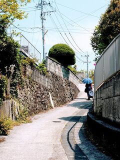 阪九フェリーと特急ソニックで行く、九州鉄道記念館と別府温泉