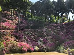 つつじ、シャクナゲ、花を訪ねる佐賀の旅。福岡から1時間！