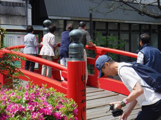 船好きな友人が、国内発着ならとその気になったので、一緒にクルーズを楽しんだ。<br /><br />（１２）高知<br />はりまや橋と冷やしうどん