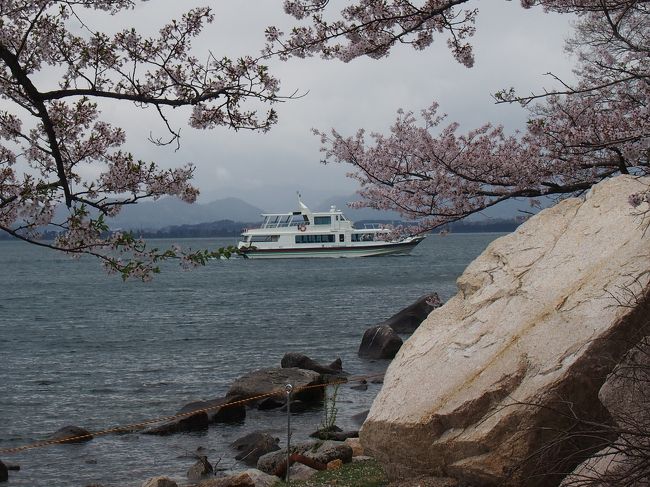 海津大崎の桜がどうしても見たくて、満開ちょっと過ぎたころですが<br />春の関西１デイパスを使って滋賀県高島市のマキノ町へ<br />予定は海津大崎の桜だけ！<br />でも、朝早く出たものですから時間はまだたっぷり(^O^)<br /><br />バームクーヘンで有名な『たねや』のラ・コリーナへ行くことに！<br />どこにあるかも気にせず検索！近江八幡・・・ヴィーリズじゃね～こりゃ～行っとかなくっちゃ～と<br />行き当たりばったりだったため、乗り継ぎも悪く『まあ、いいっか～』の旅となりました。<br />でも楽しかったわ～レンタサイクル最高ですね（*^_^*）