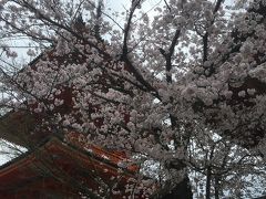 【2016】春の京都　旅行記【1泊2日】