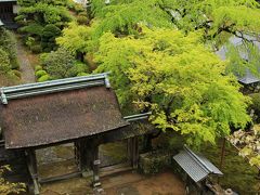 海、熊野古道とグルメの旅