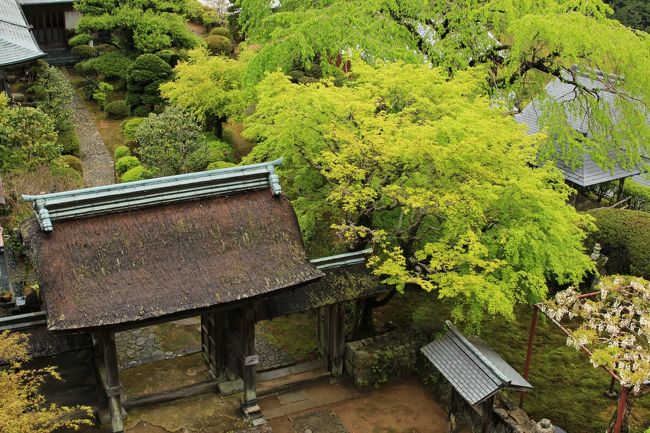 今回は南紀白浜を中心に和歌山県の旅をしました。<br />特に印象深かったのは、海の幸グルメと海岸の荒波でした。