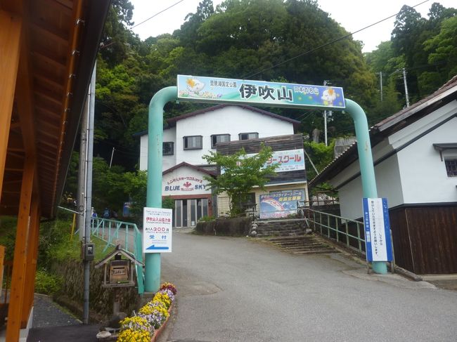 伊吹山登山に挑戦しました!<br /><br />ゴールデンウィークと言う事もあり、登山客は多い様子です。<br /><br />滋賀県米原市にあり、岐阜県との県境にも位置します。<br /><br />標高は、1377メートルあり、滋賀県屈指の標高のようです。<br /><br />五合目までは、京都の愛宕山に似ている感じでしたが、五合目を超えたあたりから急勾配になり、日本アルプスなどのアルペンコースに匹敵するほどの難コースとなっているようです。<br /><br />頂上までの残り500メートルは、初心者などにはかなりきついコースのようです。<br /><br />ガレ場も多く、突き出した岩などが行く手を阻むようになっている感じです。<br /><br />とにかく、登りがきついのでこまめな休憩と水分や塩分の補給は必須です。<br /><br />また、下りは心肺に負荷を掛けませんが、膝や足首、腰などは痛めやすいので要注意です。<br /><br />昔はスキー場で反映していましたが、今は閉鎖されていて昔とは違い寂れています。<br /><br />なので交通の便が悪く、自家用車で行かれる方が殆どのようです。<br /><br />一応バスの運行もありますが、17時以降には運行自体が無くなりますので要注意です。<br /><br />伊吹山ネイチャーネットワーク https://www.ds-j.com/nature/ibuki/<br /><br />京都の情報 https://sites.google.com/site/wonderfulcare1/jouhou-peji