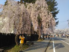 秋田県の桜の名所　その１・角館