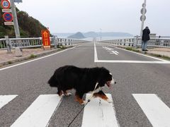 バーニーと行く山陰・試練の旅　その１