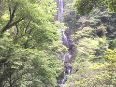 豪快なおせりの滝を見に行って見ます   ☆宮崎県東臼杵郡美郷町
