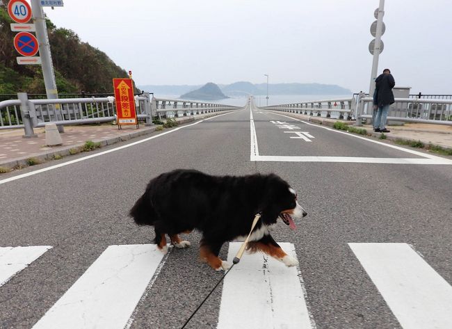 バーニーと行く山陰・試練の旅　その１