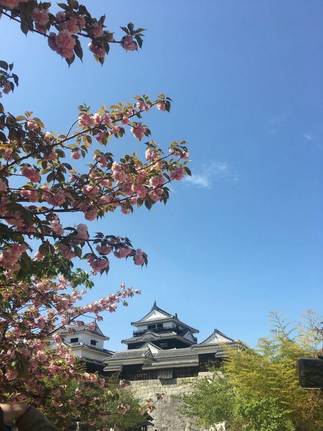 石鎚山登山目的で、愛媛の道後温泉へ行くことにしました。<br />宿泊は、道後温泉の「そらともり」<br />一休で検索し、安い割に部屋付露天風呂にひかれ予約しましたが、、、<br /><br />お天気は快晴の予報<br />朝、４時過ぎに家を出発。<br />神戸淡路鳴門自動車道から四国へ、<br />どんどん西へ進み、愛媛へ入りました。<br />高速を降りて、目的の石鎚山の登り口まで移動します。<br />夫の下調べでは、表と裏の登り口があり、今回は裏から登ることに。<br />裏の登り口までは、めっちゃくねくねの山道でした。(~_~;)<br />あと３キロのとこまでやっとたどり着いたのに、道が封鎖されていました(・・;)<br />なんなんだぁ～～！！と、夫はイライラ(~_~;)<br />もっと早く標識とかで知らせてくれればいいのに!<br />なんて不親切。(T_T)<br /><br />なんだかんだとハプニングがあり、結局メインの石鎚山はあきらめ道後温泉と愛媛観光をした旅となりました～(^_^;)<br /><br />愛媛は初めてだったので、それはそれで楽しかったです(^^♪