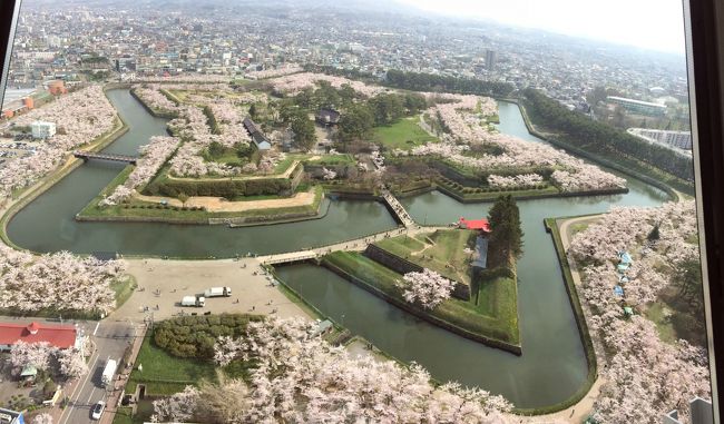 　念願が叶って（？）、桜満開の函館・五稜郭に行ってきました。