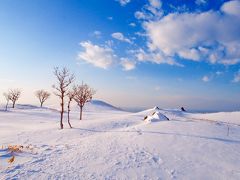 冬の絶景を求めて知床へ  2泊3日の旅