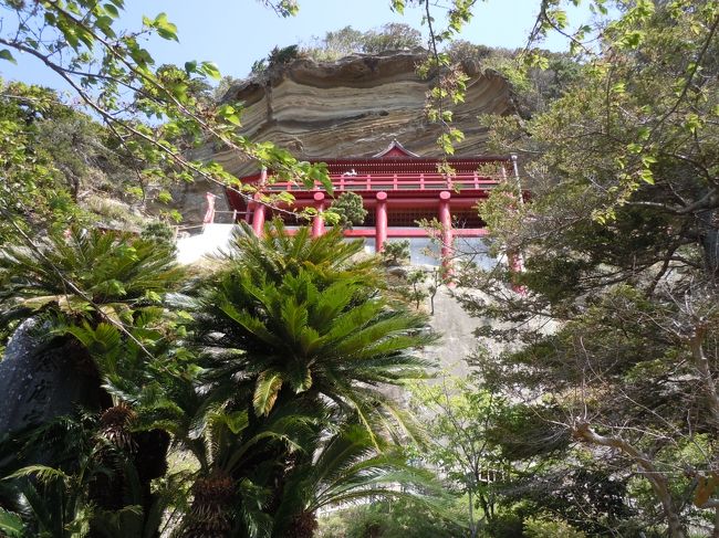 　２日目の朝、１番に野島崎灯台に行きました。晴れていていい天気でしたが風が強かったです。野島崎灯台は明治２年に造られた日本最初の洋式８灯台の１つだそうで日本の灯台５０選に選ばれています。今の灯台は建て替えられた物だそうですが白亜の素敵な建物です。<br />　展望台からの眺望は抜群で「最南端の碑」もあります。私たちが行った日はとても風が強くて波がすごかったけれどとても素晴らしい眺めでした。<br /><br />　野島崎から次は崖観音（大福寺）にいきました。大福寺というお寺ですが崖観音と呼ばれることが多いようです。真言宗の寺院で崖作りの観音堂には１１面観世音菩薩が磨崖仏として刻まれているそうです。内部の天井絵も素晴らしいそうですが、残念な事にその日は強風のため、観音堂は開けられませんでした。階段が結構急だったけれど思ったよりきつくなくて上れました。機会があれば次は是非中が見たいです。