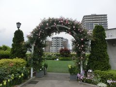 横浜　アメリカ山公園のバラ　（2017年）
