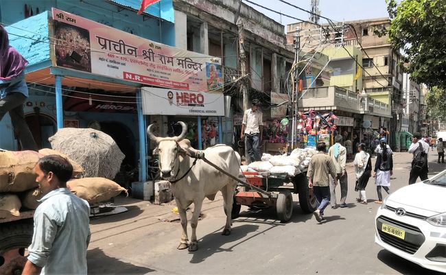 インパール・コヒマ戦跡訪問を終えて、ディマプール空港からコルカタ経由でニューデリー空港へ、1泊して、ニューデリー観光後、日本に帰国しました。<br />現地旅行をアレンジしてくれた、現地の日本の旅行会社「H2トラベルズ」さん、インパール戦争資料館館長でガイドのアランバムさん、ありがとうございました。<br /><br />表紙写真は、ニューデリー市内の牛車です。