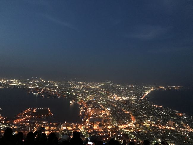30年ぶりに香港のヴィクトリア・ピークに登り、夜景を見たのだが、人の多さでげんなり！見える角度も狭い！<br />こんなはずでは・・。<br />ということで、今まで見た夜景の中で、No.1の函館の夜景を、これまた30年ぶりに見に行くことにする。<br />ついでと言ってはなんだが、ちょうど21日から開通した「日本一長い雪の回廊」と、これまた日本一の桜と言われる弘前城も訪れる。<br /><br />１日目　伊丹→函館<br />２日目　函館→弘前→岩手（八幡平）→弘前<br />３日目　弘前→青森空港→伊丹