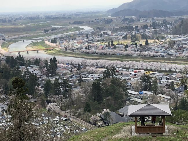 昨年の桜旅で行った角館。昨年は1分咲きとお花見に程遠い旅になり、今年は弘前に行く前に秋田入りしてリベンジ！桜は満開でしたがお天気がイマイチで、桜には青空が良く似合うと再認識の旅でした。