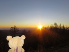 東京最高峰でクリスマスから帰るクマ