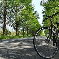 【2018】クロスバイク利用◆初ビワイチしてきた【自転車】（1/2）