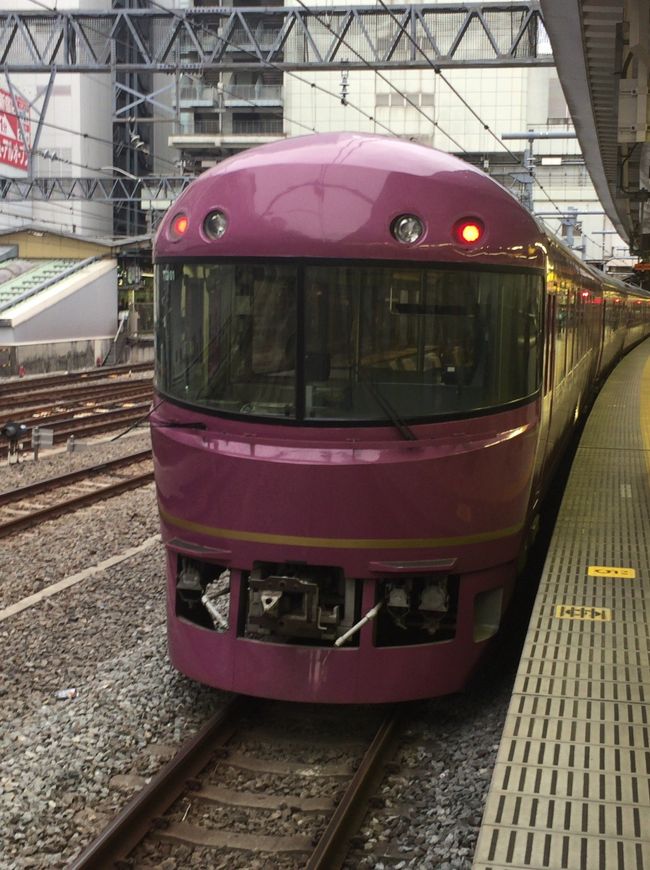 臨時列車に乗って東京近郊区間大回り乗車