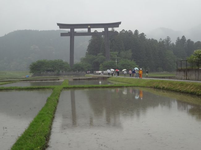 今回は会社の仲間と三重の熊野エリア、和歌山の本宮エリアを巡る旅。<br /><br />名古屋で早朝合流し、熊野の丸山千枚田へ行って、トロッコ列車に乗って湯ノ口温泉で入浴し、熊野本宮大社で参拝、昼食後熊野本宮温泉郷の湯の峰、渡瀬、川湯を見て回り、熊野市の世界遺産の花の窟、獅子巖、七里御浜、鬼ヶ城を散策して、名古屋に夜帰宅する旅。<br /><br />途中から雨だったけど、混んでなかったし、雨の熊野は風情がありいい旅でした。