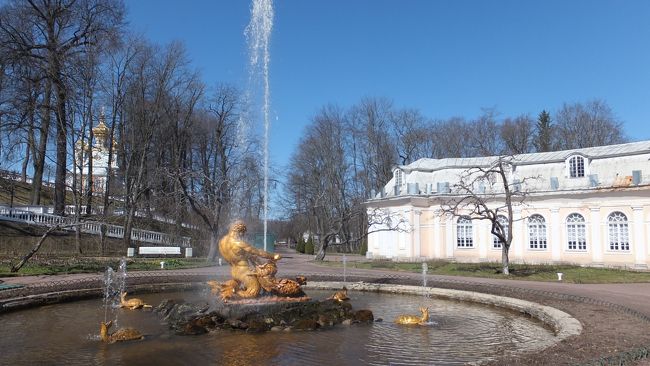 4月22日から、インチョン乗り継ぎで、ロシアへ行って来ました。4月下旬でもロシアは冬。特にサンクトペテルブルクは寒くて、ダウンコートは手放せません。それもそのはず、ここは高緯度にあり、夏は白夜の地。夜9時に到着した時点でもまだ少し明るかったくらいです。緑が全く無く、寒々とした光景。しかも、サンクトペテルブルク特有の変わりやすい天気で、晴れ、雨、風…と1日に何度も変化し、気が抜けません。