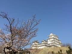 (備忘録)家族で甲子園と姫路城へ行きました。