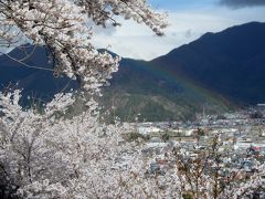 桜と五重塔と富士山のインスタ映えするスポットで大人気の新倉浅間神社を訪れました。