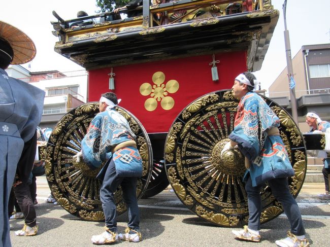 楽しみにしていた、五月一日、高岡御車山祭り。この写真の、山車は、一番街通。車輪が実に優雅で豪華。この車輪が、今年の、高岡御車山祭りのポスターの写真になっています(三月の旅行記の最後の方に)。三月にツアーで来た時、御車山会館で、このポスターを見て、あまりの美しさにしばらくボッ~と見とれてしまった。これが外で動いているのを見たい!と思って、また、今回やってきて、美しい車輪たちが、山車が、市内を曳かれて、通り過ぎるのを、すぐ目の前で見ている~というワクワクどきどき感動の一日でした。