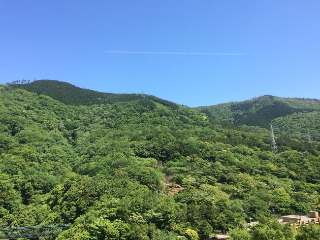 ゴールデンウィークに箱根パークス吉野<br />に子連れで行ってきました♪  5年ぶりの箱根です<br />そして箱根彫刻の森へ